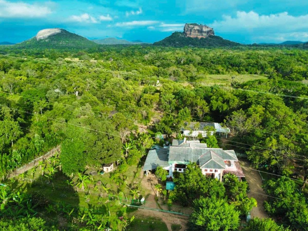 Sinhagiri Villa สิกิริยา ภายนอก รูปภาพ