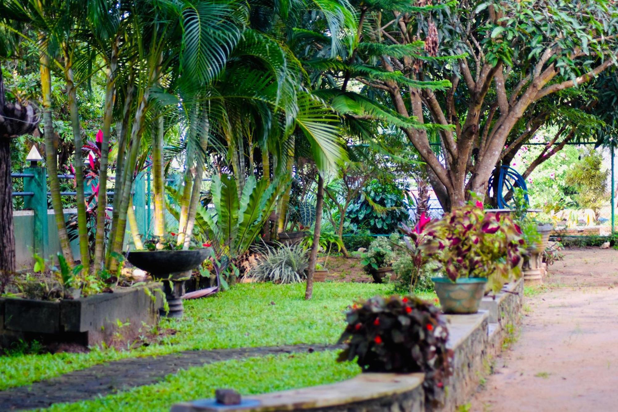 Sinhagiri Villa สิกิริยา ภายนอก รูปภาพ