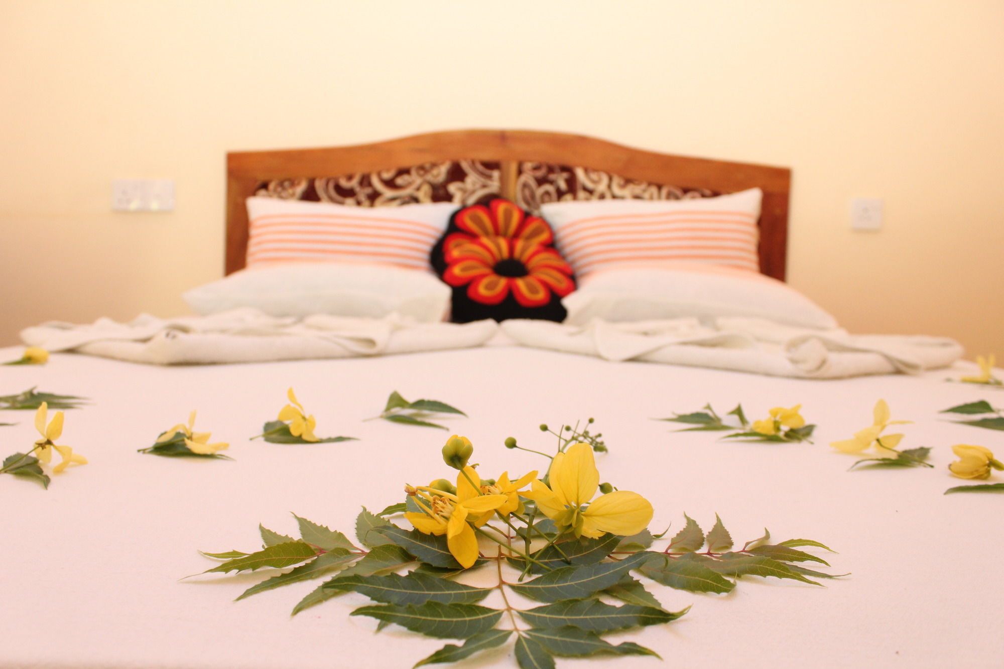 Sinhagiri Villa สิกิริยา ภายนอก รูปภาพ